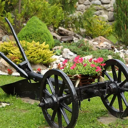 Complex Velikiy Kalyny