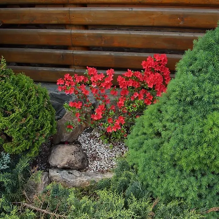 Complex Velikiy Station touristique 3*